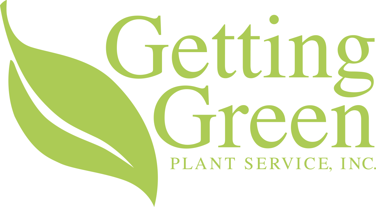 Material Getting Green Plant Service